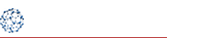 NANOTAM logo